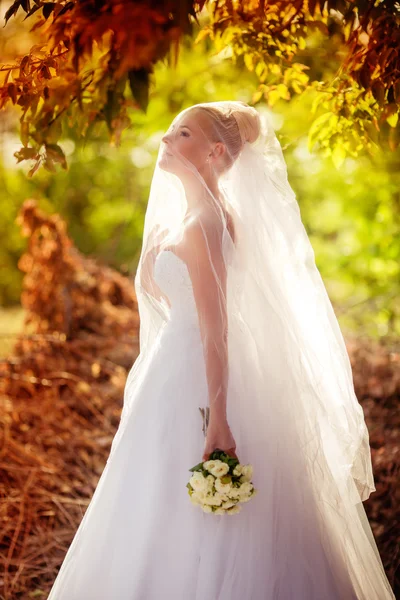 Bella sposa nel parco — Foto Stock