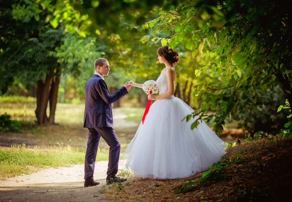 Mutlu gelin ve damat — Stok fotoğraf