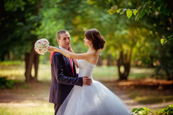 Novia y novio felices — Foto de Stock