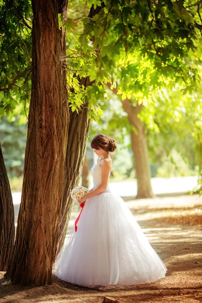 Bella sposa nel parco — Foto Stock