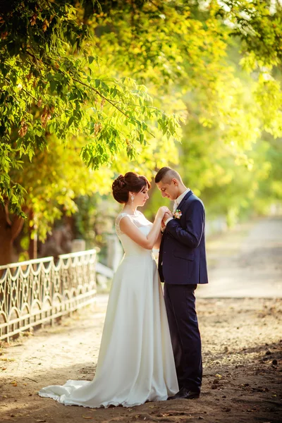 Novia y novio felices — Foto de Stock