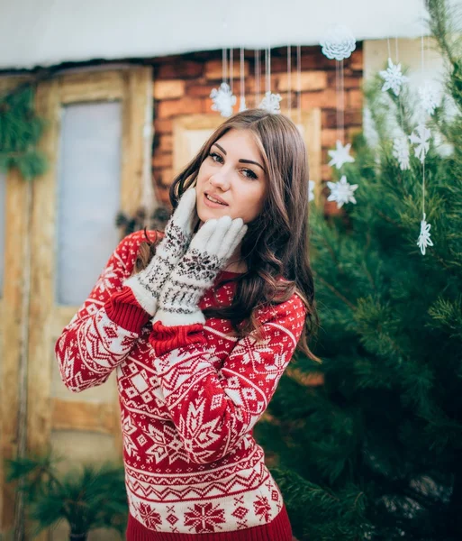 Girl at Christmas holiday eve — Stock Photo, Image