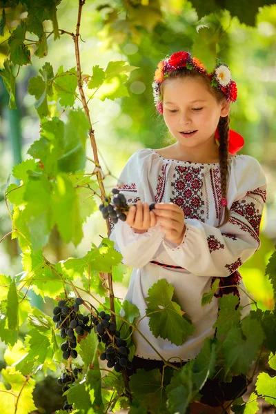 Little Ukrainian girl — Stock Photo, Image