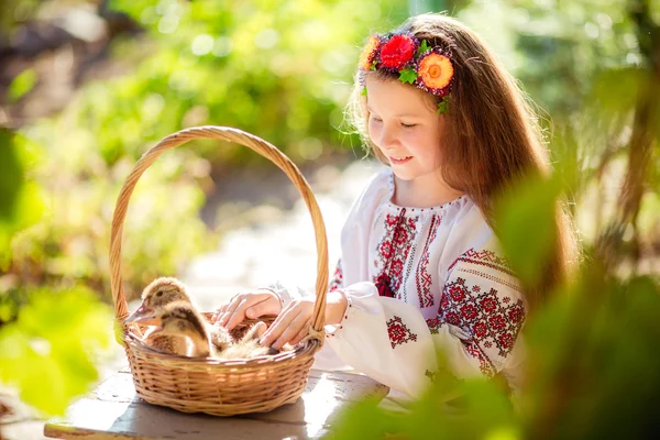 Маленькая украинская девочка с утятами — стоковое фото