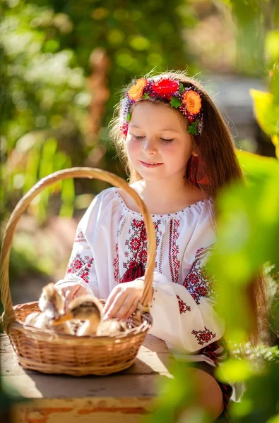 Little Ukrainian girl with ducklings — Stock Photo, Image