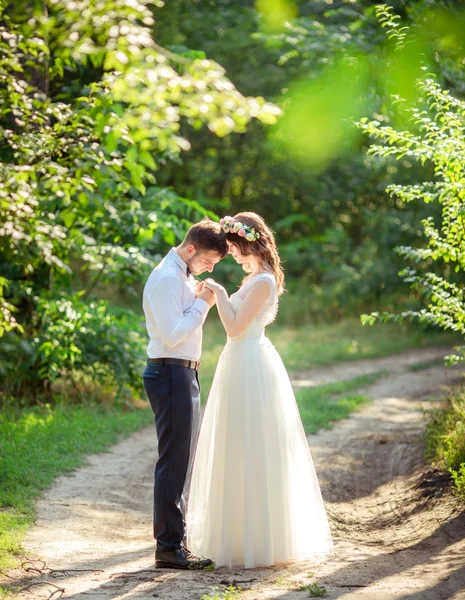 Novia y novio felices — Foto de Stock