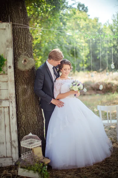 Happy Bride and groom — Stock Photo, Image