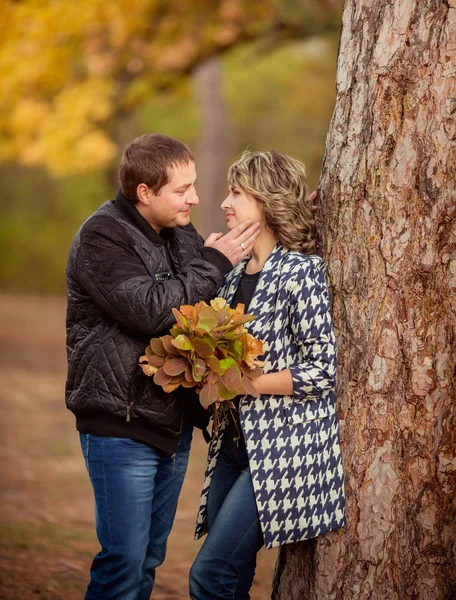Couple in Autumn Park — Stock Photo, Image