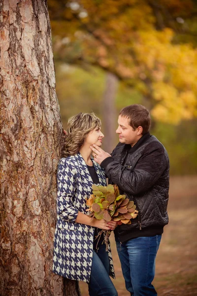 Pareja en el parque de otoño —  Fotos de Stock