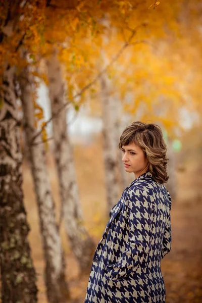 Mujer en el parque de otoño —  Fotos de Stock