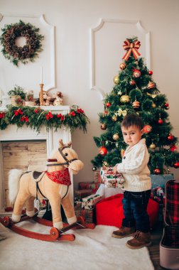 sallanan at çocukla