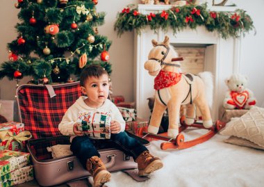 sallanan at çocukla