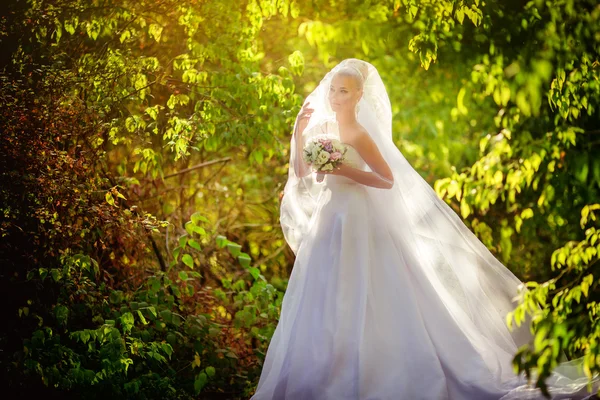 Bella sposa nel parco — Foto Stock