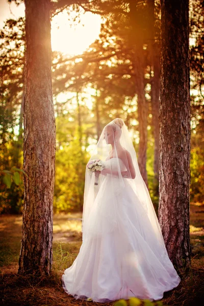 Mooie bruid in park — Stockfoto