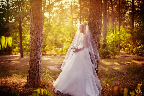 Schöne Braut im Park — Stockfoto