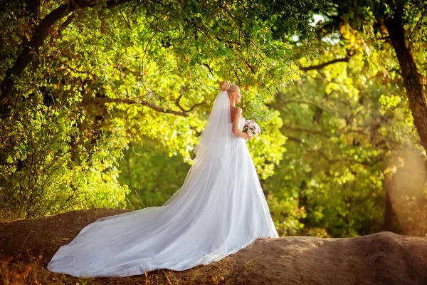 Bella sposa nel parco — Foto Stock