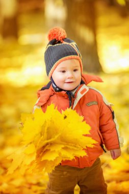 sonbahar Park'ta küçük çocuk