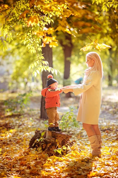 Mère et fils dans le parc d'automne — Photo