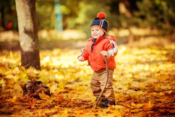 Jongetje in herfst park — Stockfoto