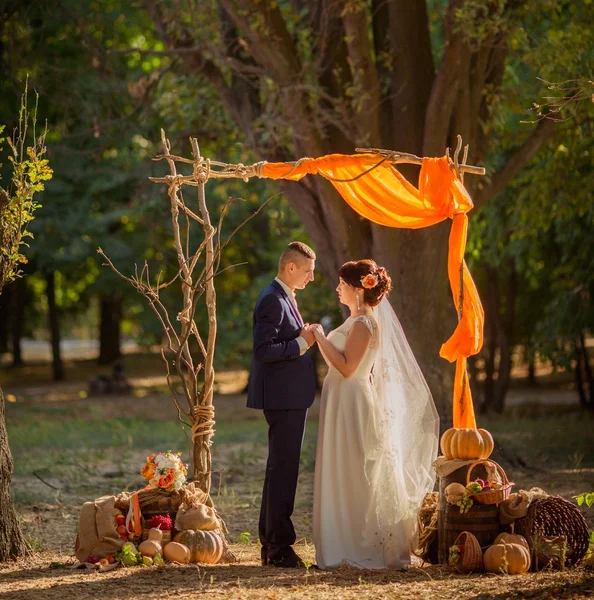 Noiva e noivo em seu dia de casamento — Fotografia de Stock