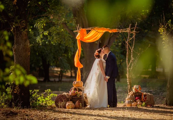 Bruid en bruidegom op hun trouwdag — Stockfoto