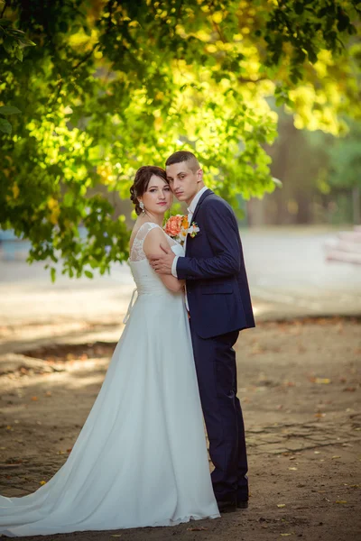 Brud och brudgum på deras bröllopsdag — Stockfoto