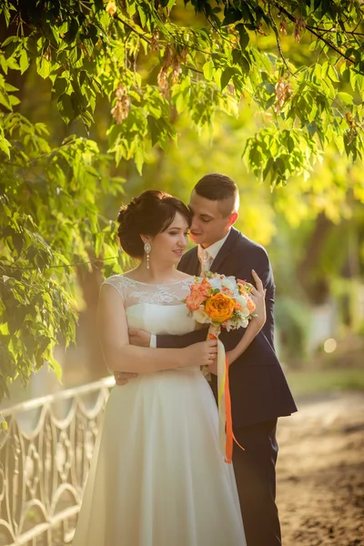 Bride and groom on their wedding day — Stock Photo, Image