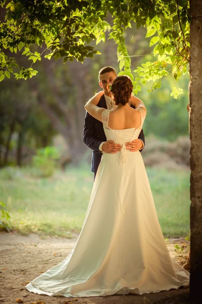 Noiva e noivo em seu dia de casamento — Fotografia de Stock