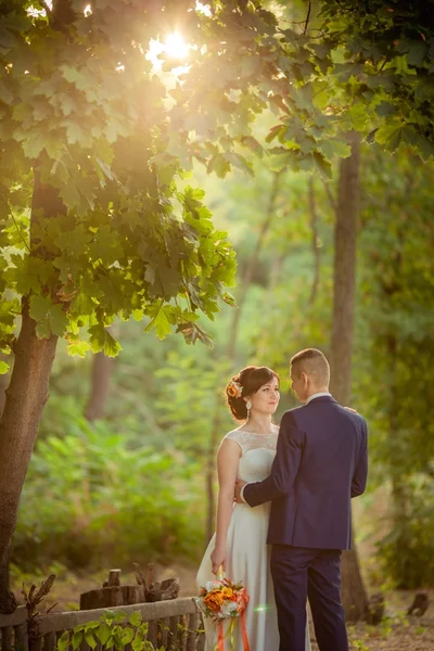 Noiva e noivo em seu dia de casamento — Fotografia de Stock