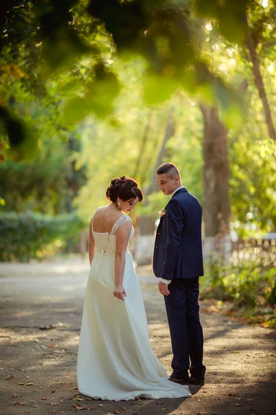 Novia y novio en el día de su boda — Foto de Stock