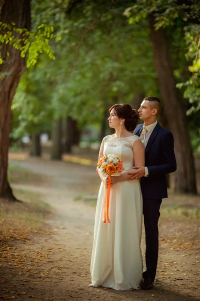 Bride and groom on their wedding day — Stock Photo, Image