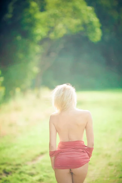 Femme Nue Élégante Posant Plein Air Dans Prairie Près Forêt — Photo