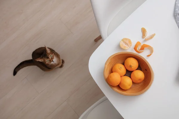 Tahta kasede taze mandalina ve portakal manzarası