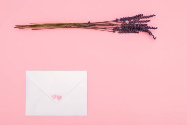 Posta postası için kapalı kağıt zarf ve pembe üzerinde izole edilmiş lavanta