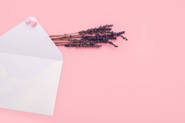 Craft posta için kağıt zarf açtı ve lavanta pembeye izole edildi