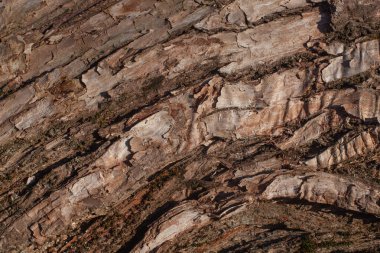 Eski Ağaç Yapısı Arkaplan Şablonu.