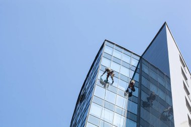 Endüstriyel tırmanışçılar yüksek binaların camlarını temizliyorlar