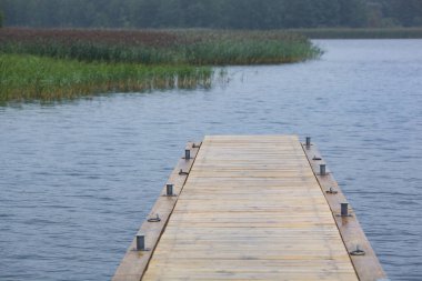 Wooden pier and grass on lake shore on sunny summer day