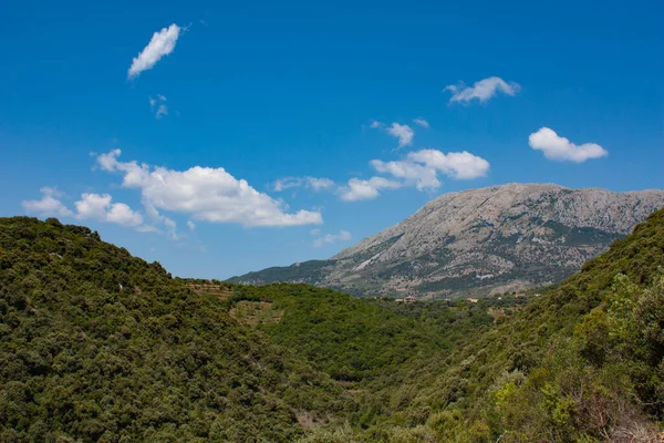 Verão montanhas verde grama e azul céu paisagem — Fotografia de Stock