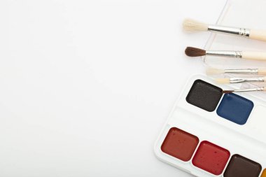 Bir dizi suluboya boya ve beyaz arka planda boya fırçaları ve metin için bir kopya alanı. Yakın plan.