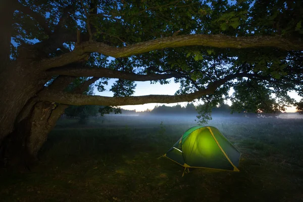 Zeltlager Mitten Auf Offenem Feld Waldnähe Bei Sonnenaufgang Nebligen Sommermorgen — Stockfoto