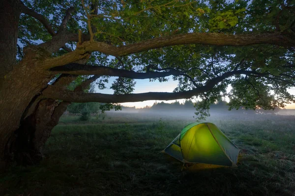 Camping Tent Middle Open Field Forest Sunrise Summer Misty Morning — Stockfoto