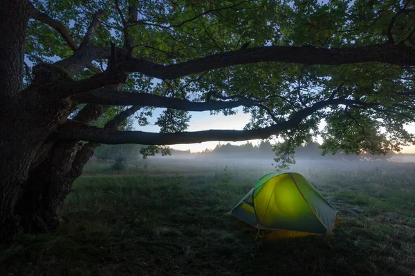 Camping Tent Middle Open Field Forest Sunrise Summer Misty Morning — Stockfoto