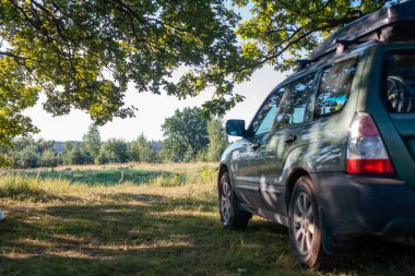Arabayla yürüyüş. Çatıda araba rafı olan bir araba yazın dev bir meşe ağacının altında duruyor.