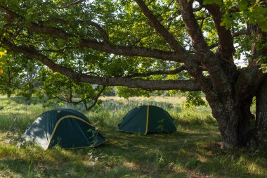 Yazın gündoğumu sırasında, Ormanın yakınındaki Açık Arazi 'de iki kamp çadırı. Açık hava kamp macerası kavramı