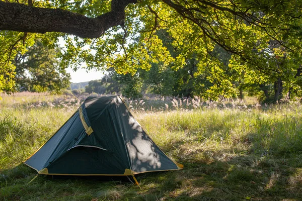 Namiot Kempingowy Trawie Summer Shiny Morning Pojęcie Outdoor Camping Adventure — Zdjęcie stockowe