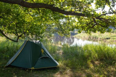 Yaz Parlak Sabahı 'nda çimlerin üzerinde çadır kurmak. Açık hava kamp macerası kavramı