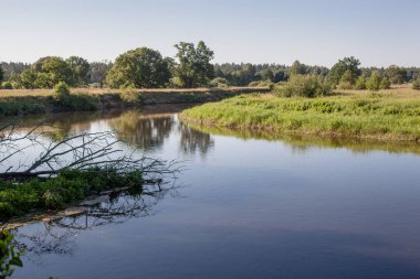 Yazın sakin bir nehirde güneşli bir gün.