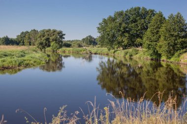 Yazın sakin bir nehirde güneşli bir gün.