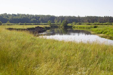 Yazın sakin bir nehirde güneşli bir gün.